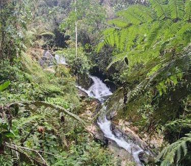 Antioquia House | LA SERENA reserva natural