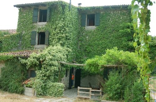 Valeggio sul Mincio House | La Torretta: near Peschiera del Garda, surrounded by greenery, quiet