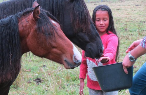 Arcabuco Other | La Victoria Glamping