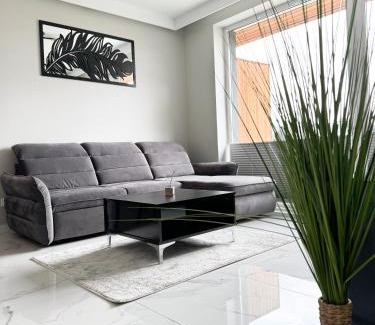Zarzecze Apartment | Laguna Beskidów Resort - Apartament A74