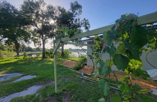 Winter Haven House | Lake Front: Charming 3-bedroom house with WiFi and AC in wonderful Winter Haven