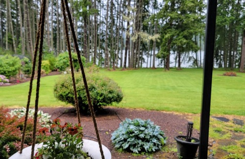 Dorena House | Lake front LAWN FLOOR of bi-level home.n bottom floor only. private entrance.