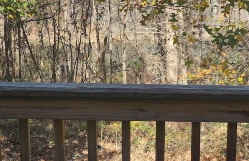 Newnan House | lake front property in a beautiful subdivision