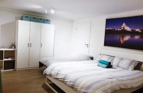 Horgen District House | Lake View Private Studio