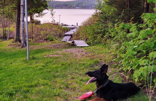 Averill Cabin | Lakefront Cabin in Vermont on Great Averill Lake in Averill, VT.