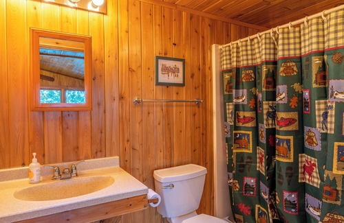 Orr Cabin | Lakefront Cabin with Shared Dock (Pet-Friendly)