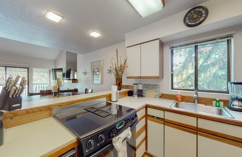 Bigfork Condo | Lakefront condo with balcony, stunning views, fast WiFi & W/D