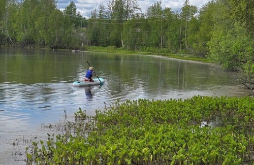 Wasilla Cottage | Lakefront Cottage with Sauna- #1 Arctic Grayling