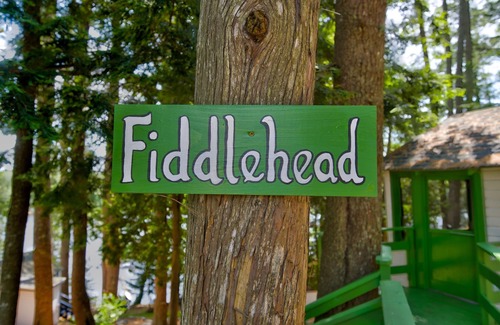 Orland Cabin | Lakefront Fiddlehead Tiny Cabin @ Getogether Stays