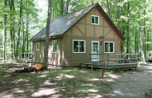Elmira Cabin | Lakes of the North MI getaway