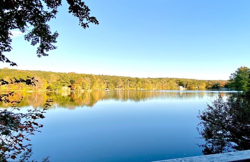 Ledyard Cottage | Lakeside cottage overhanging the water, beautiful window views across the lake
