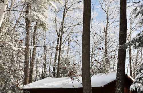 Lac du Flambeau Cabin | Lakeside Wisconsin Northwoods Cabin w/private dock. Pet friendly