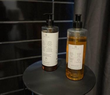 Lagodekhi Villa | Lakva village Lagodekhi