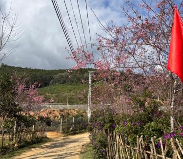 Kon Plong House | Lam House's homestay Măng Đen