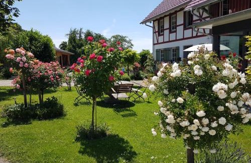 Waggershausen House | Landgut Apfelrose