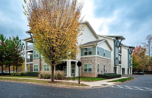 Paw Creek Apartment | Landing at Highland Park at Northlake - 1 Bedro.