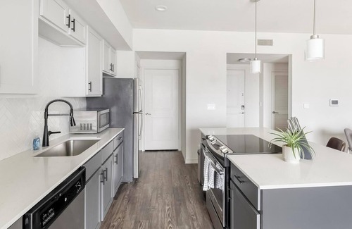 West Dallas Apartment | Landing at Lofts at Sylvan Thirty - 2 Bedrooms .