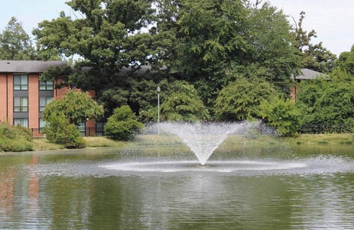 Greenbelt Apartment | Landing | Stylish 2BD, Pool, Gym