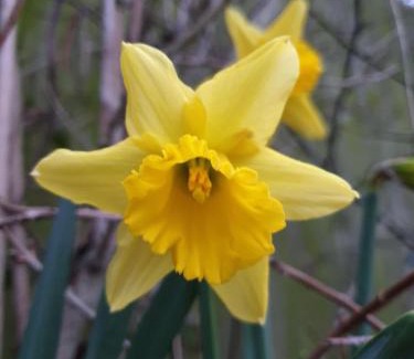 Langworth Bed & Breakfast | Langdale Lodge at Langdale Lakes, LINCOLN LN3 5BB