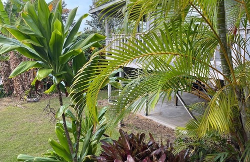 Kalaoa House | Large 3/2 House in Kailua-Kona with ALL New Furnishings and Yard Above Airport