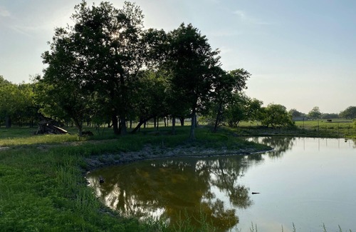 Waco RV Rental | Large Campsite in Waco on Mini-Farm F2