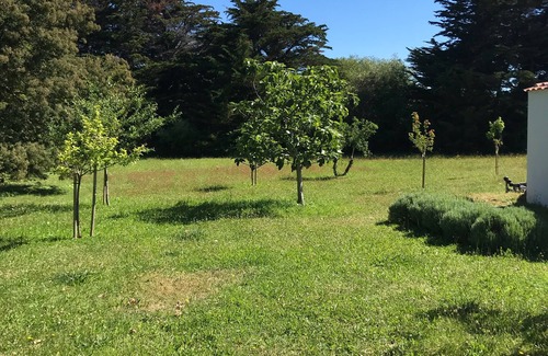 Ile d'Yeu House | large charming house, secluded in a park on the edge of the wild coast.