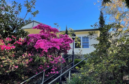 Olinda House | Large Cottage - Heart of Olinda - Old Police station