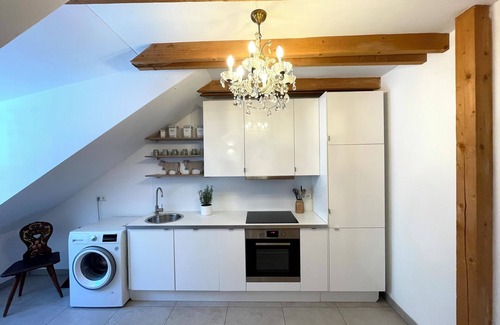 Starnberg Apartment | Large cozy 1-room apartment with roof terrace, eat-in kitchen, quiet on the edge of the forest