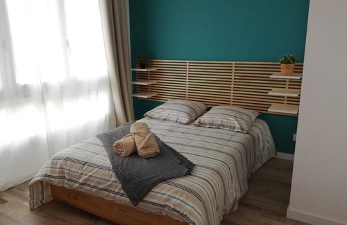 Saint-Etienne Condo | Large high standing apartment center and faculties