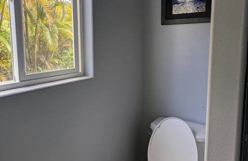 Fern Acres House | Large Private Studio in the Ohia Forest