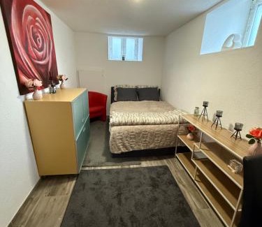 Huningue Apartment | Larkon