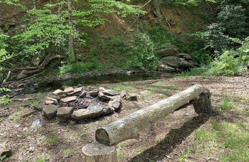 Boone Cottage | Late checkout! modern cottage with creek on 4 acres, fire pit