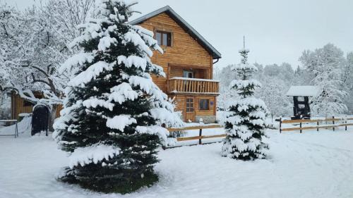 Donji Lapac Ski Chalet | Lazy bear