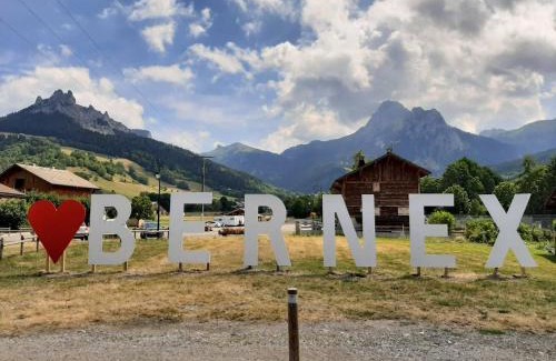 Bernex Apartment | Le 211,ski et randonnée, WIFI, lave linge , ascenceur,parking gratuit