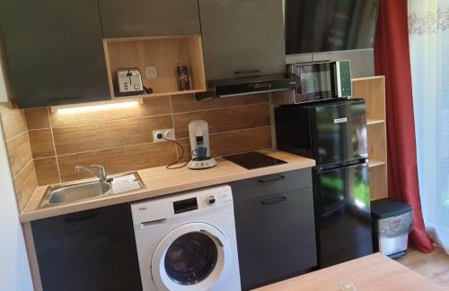 Bernex Apartment | Le 211,ski et randonnée, WIFI, lave linge , ascenceur,parking gratuit