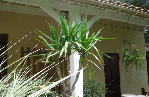 Sainte-Terre Bed & Breakfast | Le Bord de l'eau