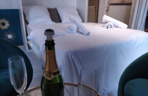 Epernay Apartment | Le charme du centre YourHostHelper