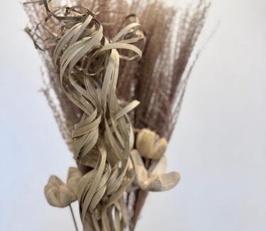 Thabor - Saint-Helier Apartment | Le Chateaudun, Centre ville de Rennes