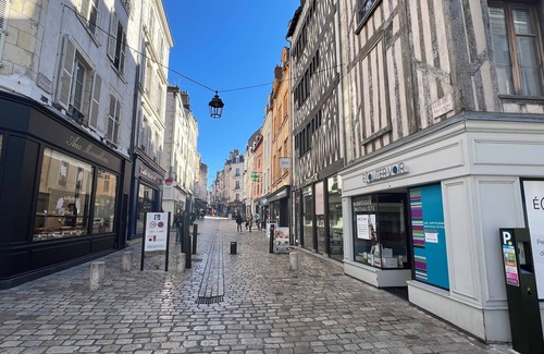 Bourgogne Apartment | Le Cocon de la Prévôté PLEIN COEUR HISTORIQUE ORLEANS