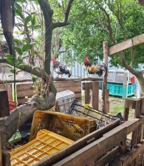 Mount Vesuvius - Pompei Bed & Breakfast | Le colonne di cesare