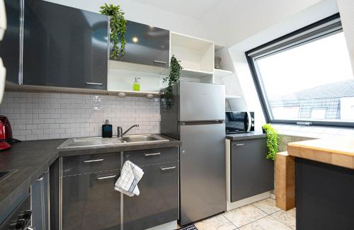 Hoenheim Apartment | * * Le Duplex des Cigognes * *