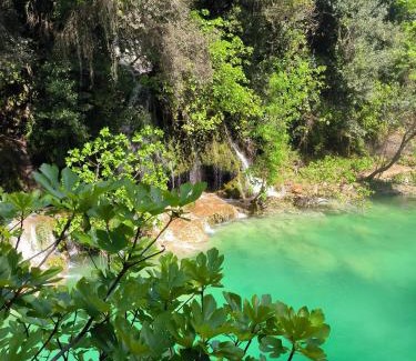 Fayence Bed & Breakfast | Le Mas Mélusine