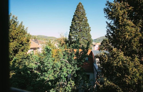 Guebwiller Apartment | Le Nid I Charming one-roomed flat