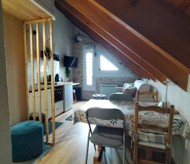Guzet Neige Apartment | Le Nid Mansardé