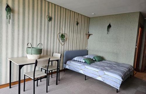 Trois-Epis Apartment | LE PANORAMA studio privé avec vue magnifique TURCKHEIM TROIS ÉPIS