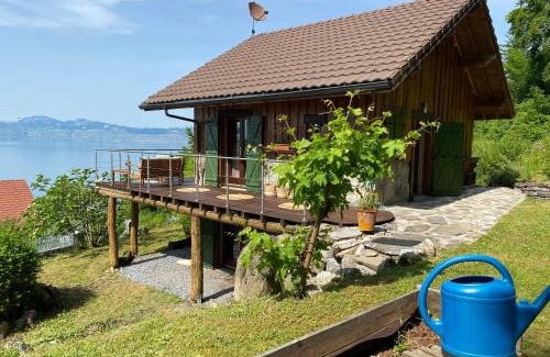 Meillerie Ski Chalet | Le petit chalet des Greys