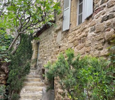 Lauris House | Le Petit Egregore, patio et climatisation