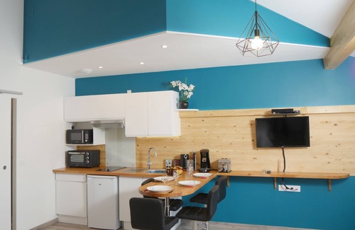Albi Apartment | Le Soleilhou - Loft cathédrale de 40 m