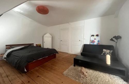 Savenay Bed & Breakfast | Le Studio des Halles - Chambre d'Hôtes