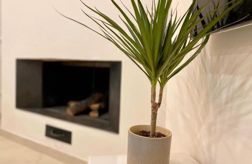Zona XVI Torrenova Apartment | Le Suite con terrazzo Abitare Roma
